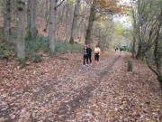 25rurseemarathon0848.jpg
