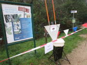 26hambachwald004.jpg