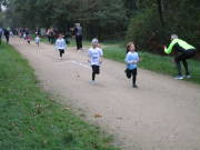26hambachwald008.jpg