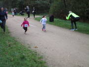 26hambachwald010.jpg