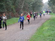 26hambachwald017.jpg