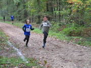 26hambachwald021.jpg