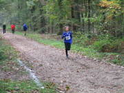 26hambachwald022.jpg