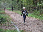 26hambachwald029.jpg