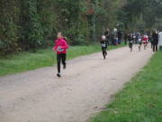 26hambachwald032.jpg