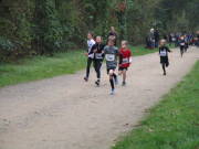 26hambachwald034.jpg