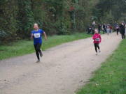 26hambachwald038.jpg