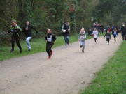 26hambachwald039.jpg