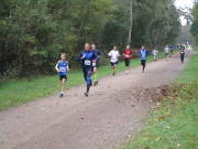 26hambachwald045.jpg