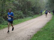 26hambachwald072.jpg