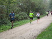 26hambachwald074.jpg