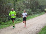 26hambachwald075.jpg