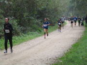 26hambachwald081.jpg