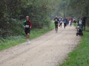 26hambachwald087.jpg