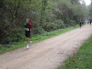 26hambachwald088.jpg