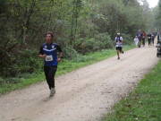 26hambachwald091.jpg