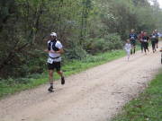 26hambachwald092.jpg