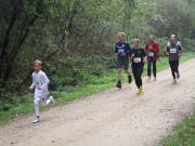 26hambachwald093.jpg