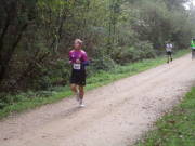 26hambachwald099.jpg