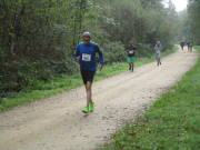 26hambachwald108.jpg