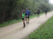 26hambachwald111.jpg