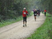 26hambachwald113.jpg