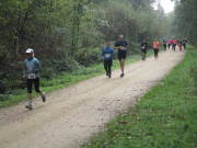 26hambachwald122.jpg