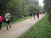 26hambachwald128.jpg