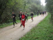26hambachwald129.jpg