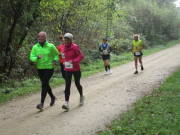 26hambachwald140.jpg