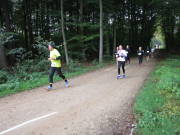 26hambachwald159.jpg